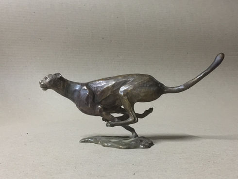 Cheetah Run