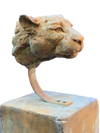 Leopard Head