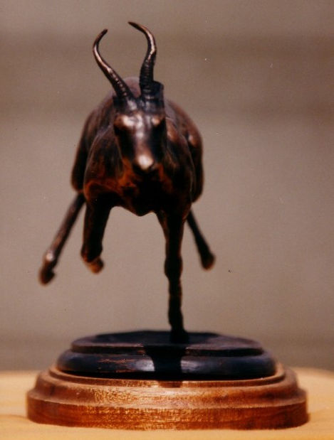FLYING SPINGBOK