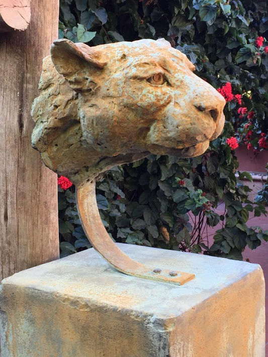 Leopard head 