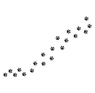 —Pngtree—paw vector foot trail print_519