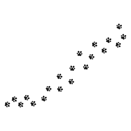 —Pngtree—paw vector foot trail print_519