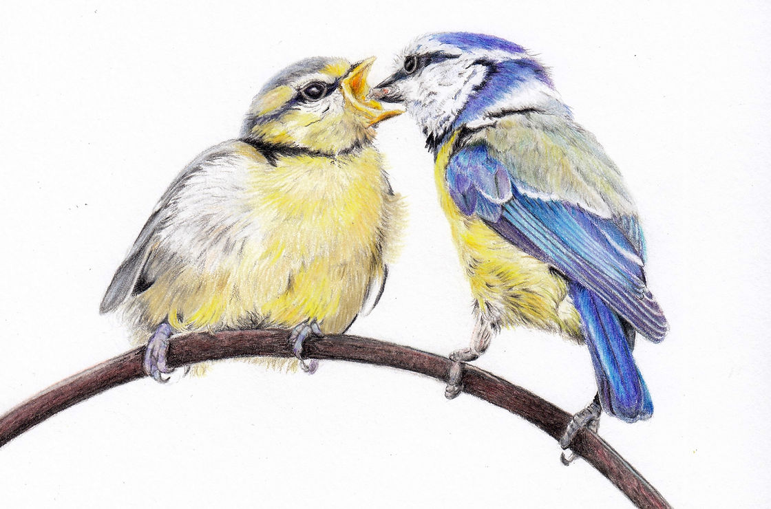 Feeding Baby Blue.jpg