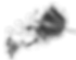 graafinen
