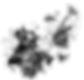 visualisti