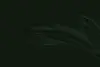 tausta vaaka3.webp