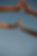 pexels-roman-odintsov-8180734.jpg