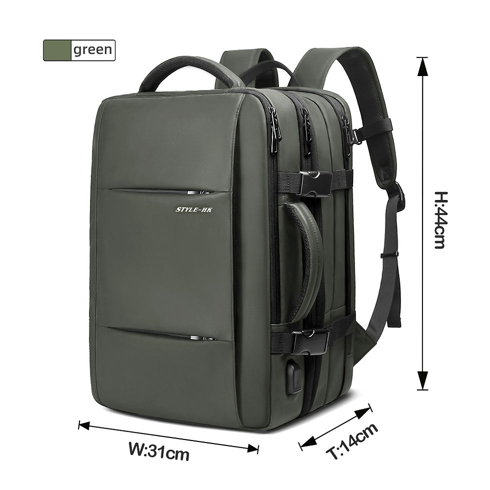 Thumbnail: Heroic Knight: The Ultimate 35L Professional Travel & Business Backpack