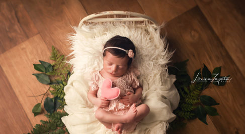 LZPhoto161221_livia  (1).jpg