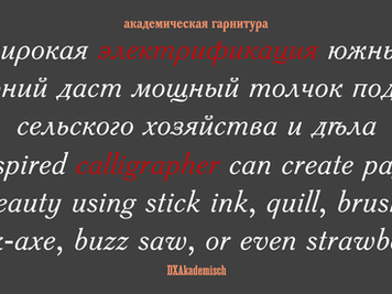 Шрифт Академический курсив/DXAkademisch Italic