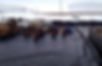 7FF1F61F-05F8-4851-95E9-C094EC814EC0_edited.jpg