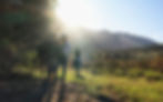 Horse riding Swellendam
