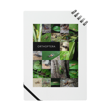 ORTHOPTERA ノート