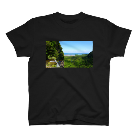 Tシャツ　西表島　ピナイサーラの滝