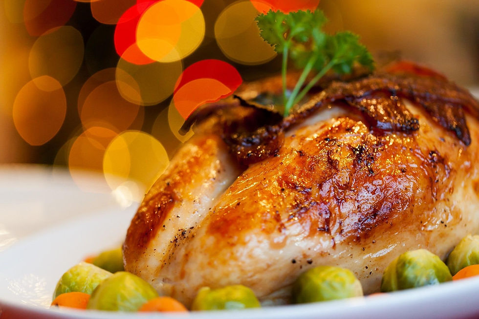 Turkey dinner plated with veggies and blurred lights in the background