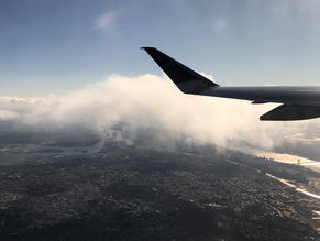 A Crossword and a DuMaurier
