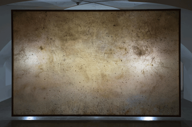 GKV_e-flux_winter_2020.gif