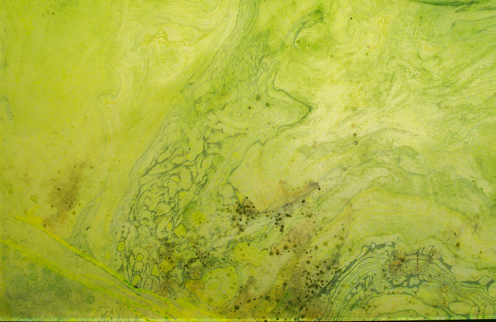 _O4A1790OK.tif