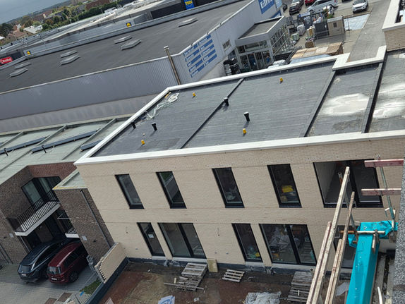 WhatsApp Image 2026-01-08 at 16.18.53