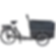 CARGO BIKE Workman 2 Electric Tricycle Black