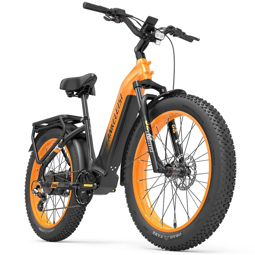 Lankeleisi MG600 PLUS Electric Bicycle 1000W 48V 20Ah Fat Tyre E-Bike