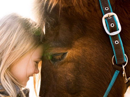 Vous êtes fan des poneys ? Découvrez les infos essentielles à connaître sur eux !