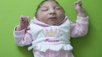 How Much Do You Know About Zika?