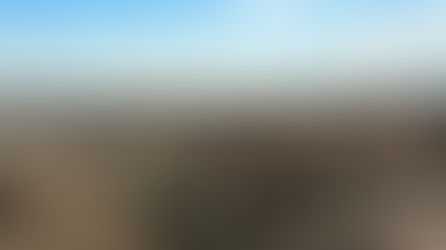 Dinosaur Discovery Made in Venezuela