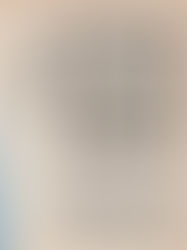 Una Breve Historia del Drywall