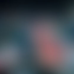 Prestige Trophy 2025 je na konci