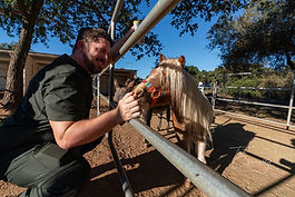 Nick@robinsnestramona.com