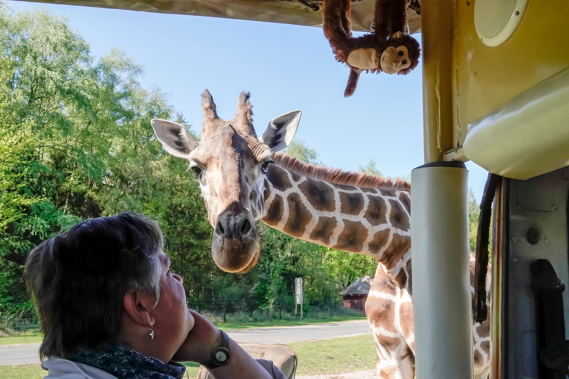 Serengeti Park