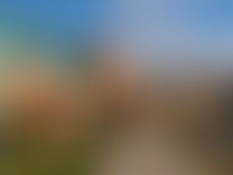 Cutting Protection Costs in School Security Puts Occupants at Risk