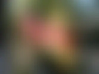 Scholarships, job postings, and NAWLEE news