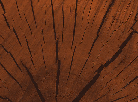braun Holz
