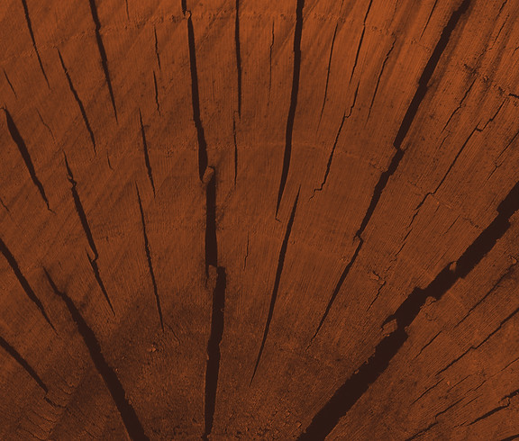 braun Holz
