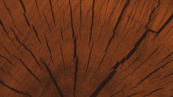 Brown Wood