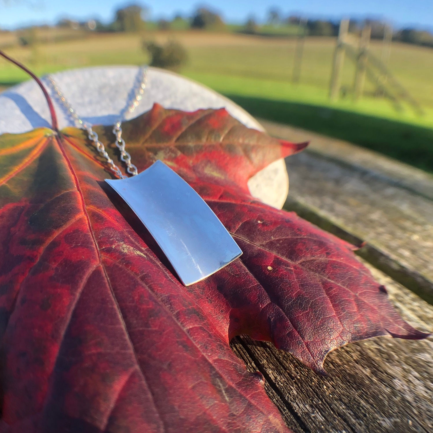 Rectangular anticlastic pendant