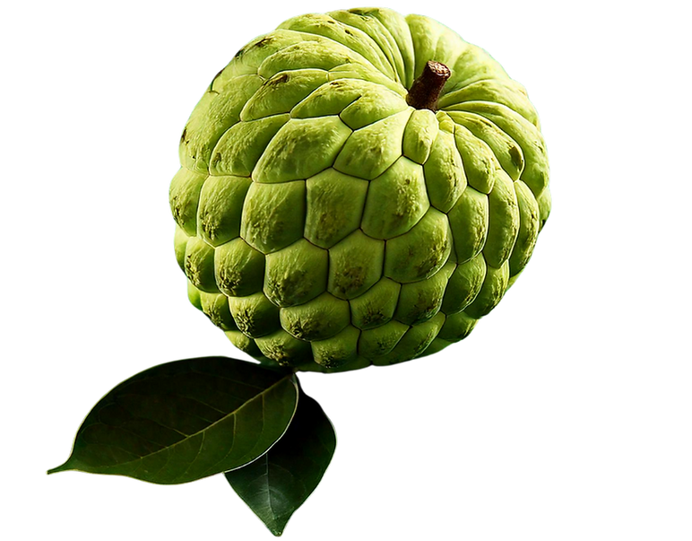 tender fresh (1).png
