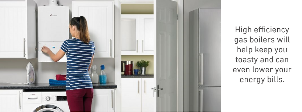 Gas Boiler