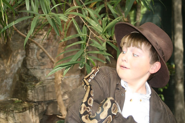 Why did it have to be snakes?