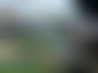 東久留米で32年続く「わくわく川清掃&川あそび」