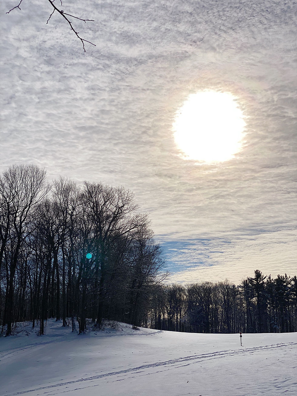 winter sun overlooking snow covered forest
