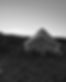 317576571_5793637967368167_6629980532005833719_n.jpeg