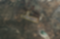 ChatGPT Image Oct 29, 2025, 02_04_20 PM.png