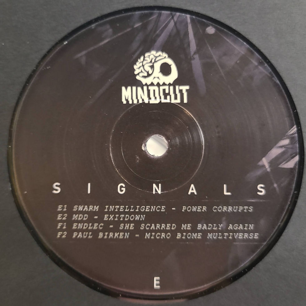 Thumbnail: Various Artists "Signals"