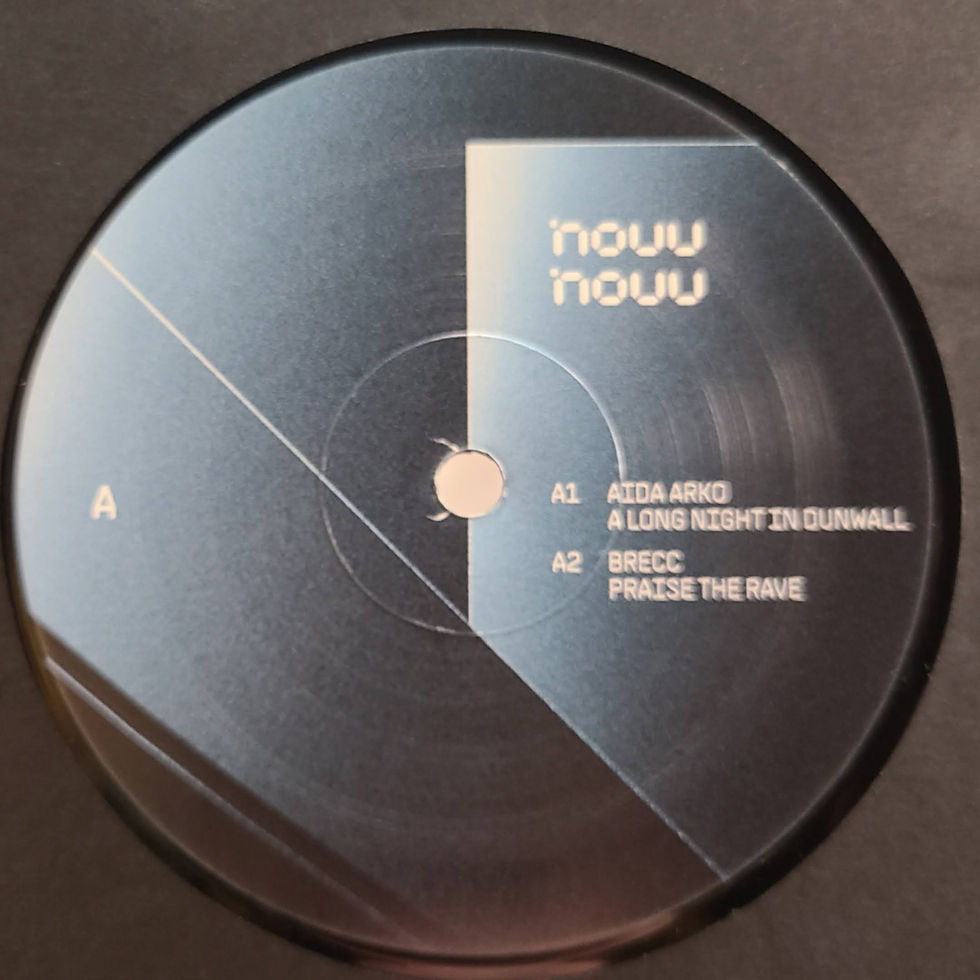 Thumbnail: Various Artists "NNVA01"