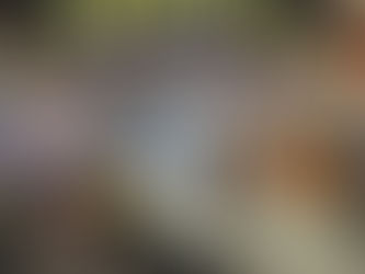 Thank You for another stellar Record Store Day