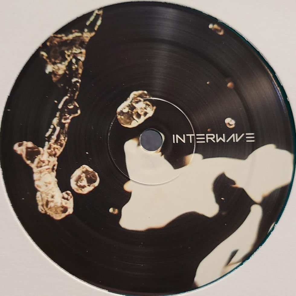 Thumbnail: Various Artists "InterWave 012"