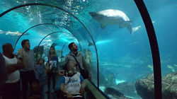 17862748_10212303870460965_6846929724202466754_n